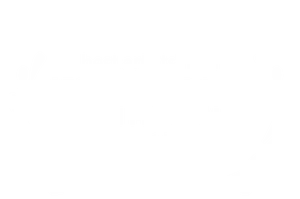 Best Artist's Film · Aesthetica Short Film Festival 2014