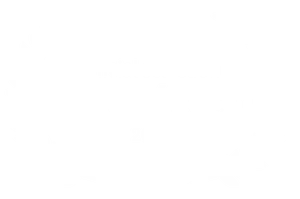 Official Selection · Festival Mix México 2023
